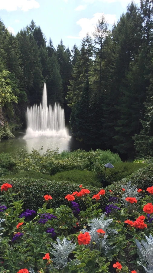 Fountain in summer, red flowers in the foreground.