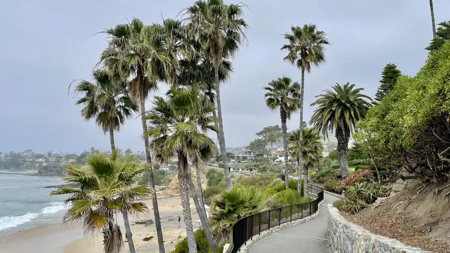 Palm lined beach path in Nice, France